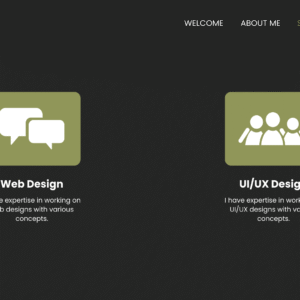Web Design for a Fashion Model’s Portfolio